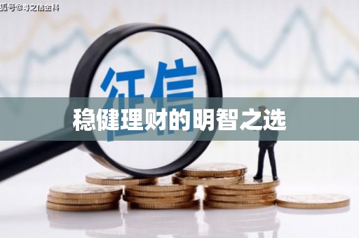 泸水稳健理财的明智之选