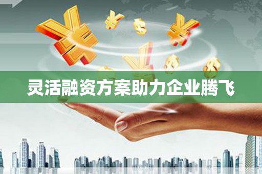 泸水灵活融资方案助力企业腾飞