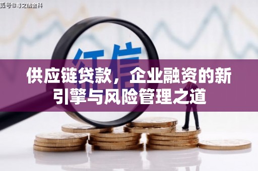泸水供应链贷款，企业融资的新引擎与风险管理之道