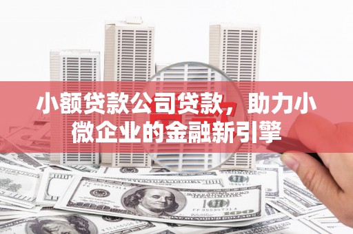 泸水小额贷款公司贷款，助力小微企业的金融新引擎