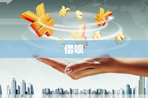 泸水借呗
