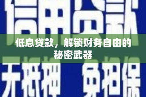 泸水低息贷款，解锁财务自由的秘密武器