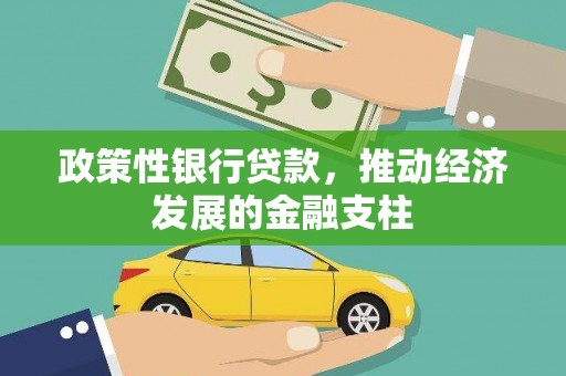 泸水政策性银行贷款，推动经济发展的金融支柱