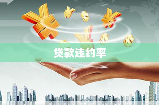 泸水贷款违约率
