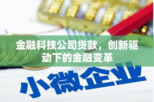 泸水金融科技公司贷款，创新驱动下的金融变革
