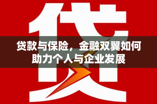 泸水贷款与保险，金融双翼如何助力个人与企业发展