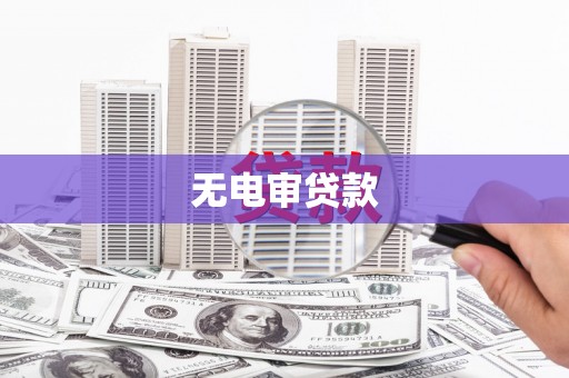 泸水无电审贷款