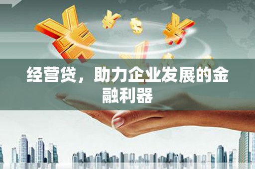 泸水经营贷，助力企业发展的金融利器