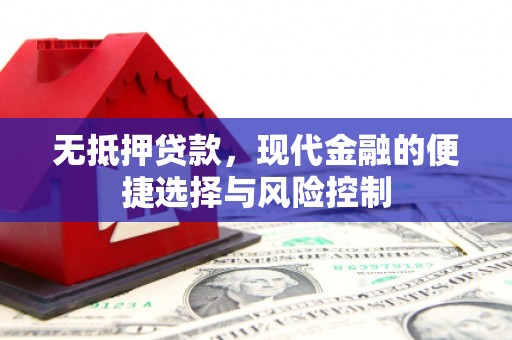 泸水无抵押贷款，现代金融的便捷选择与风险控制