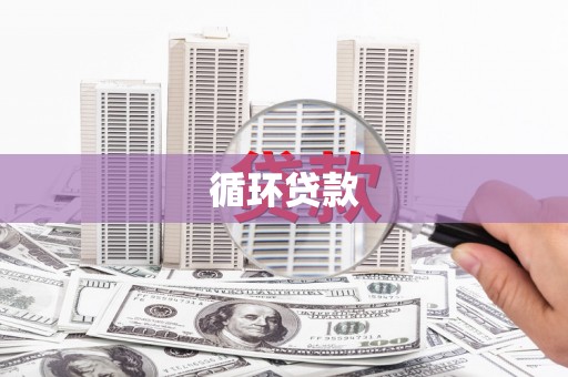 泸水循环贷款