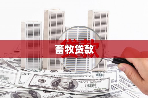 泸水畜牧贷款