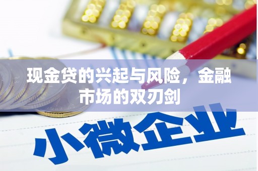 泸水现金贷的兴起与风险，金融市场的双刃剑