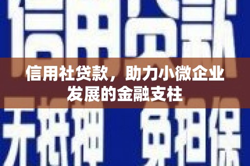 泸水信用社贷款，助力小微企业发展的金融支柱
