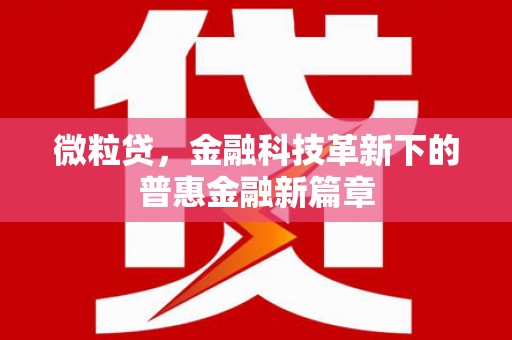 泸水微粒贷，金融科技革新下的普惠金融新篇章