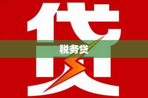 泸水税务贷