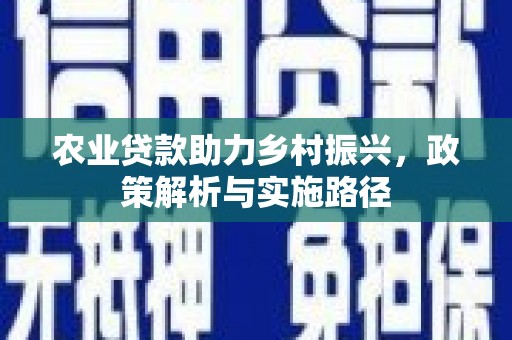 泸水农业贷款助力乡村振兴，政策解析与实施路径