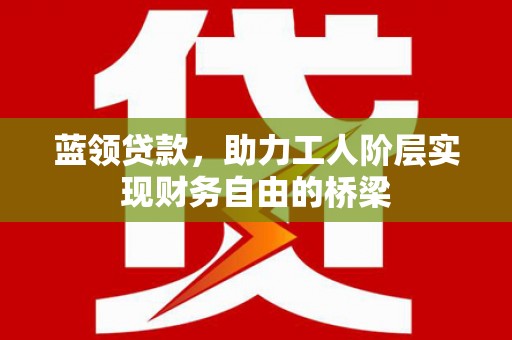 泸水蓝领贷款，助力工人阶层实现财务自由的桥梁