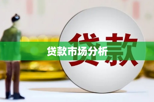 泸水贷款市场分析