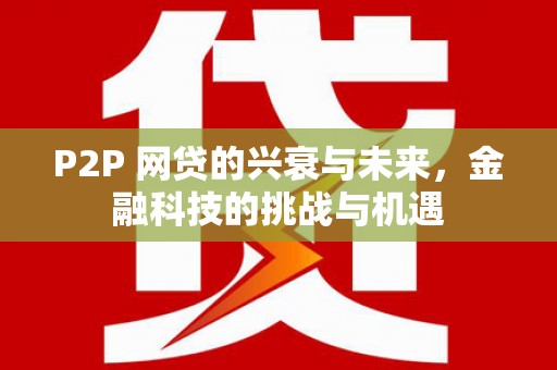 泸水P2P 网贷的兴衰与未来，金融科技的挑战与机遇