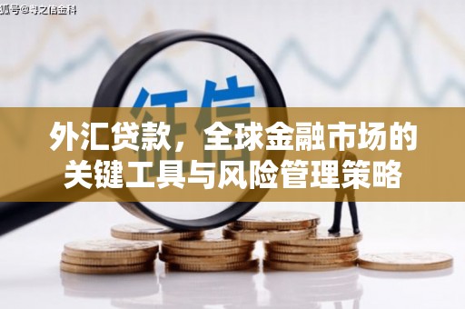 泸水外汇贷款，全球金融市场的关键工具与风险管理策略