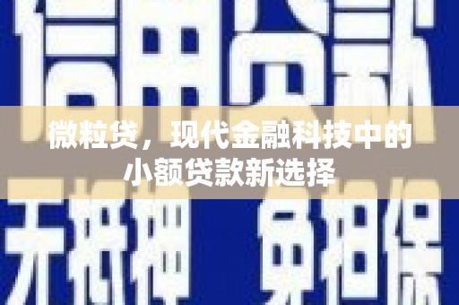 泸水微粒贷，现代金融科技中的小额贷款新选择