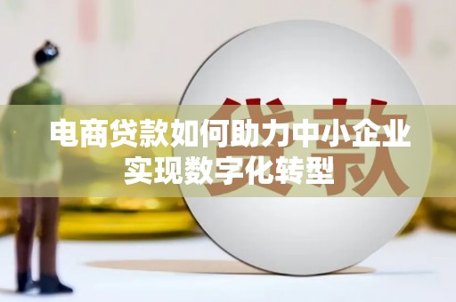 泸水电商贷款如何助力中小企业实现数字化转型