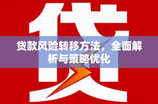 泸水贷款风险转移方法，全面解析与策略优化