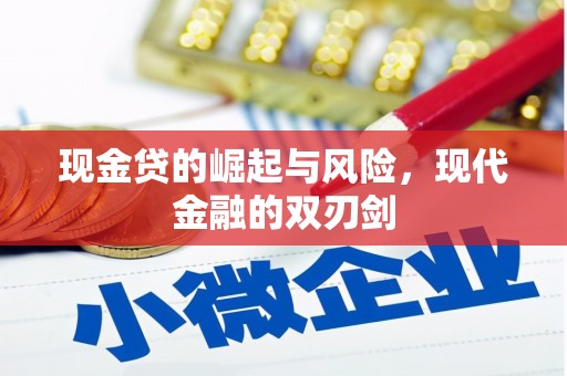 泸水现金贷的崛起与风险，现代金融的双刃剑