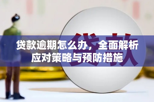 泸水贷款逾期怎么办，全面解析应对策略与预防措施