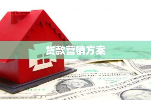 泸水贷款营销方案
