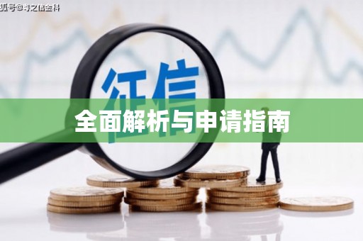 泸水全面解析与申请指南
