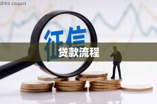 泸水贷款流程