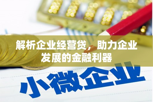 泸水解析企业经营贷，助力企业发展的金融利器