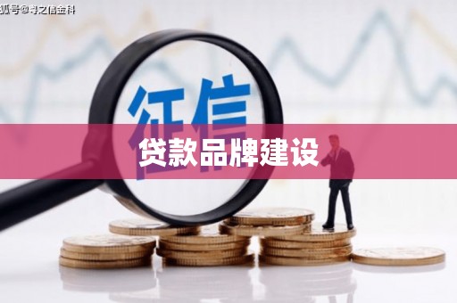 泸水贷款品牌建设
