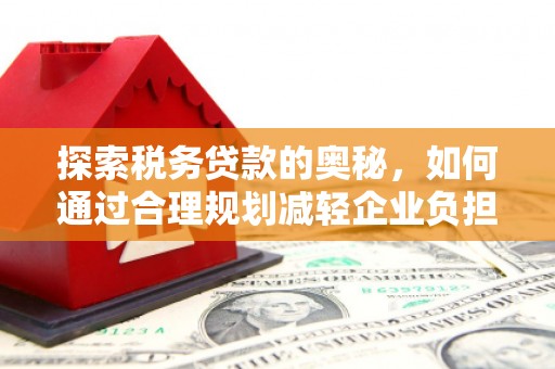 泸水探索税务贷款的奥秘，如何通过合理规划减轻企业负担