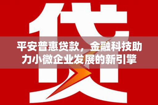 泸水平安普惠贷款，金融科技助力小微企业发展的新引擎