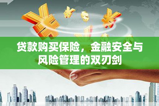 泸水贷款购买保险，金融安全与风险管理的双刃剑