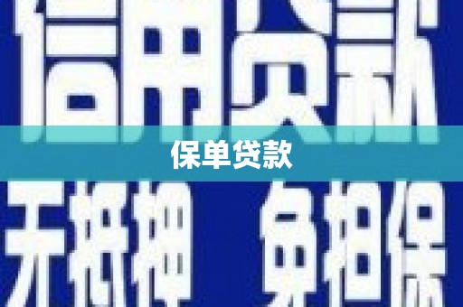 泸水保单贷款