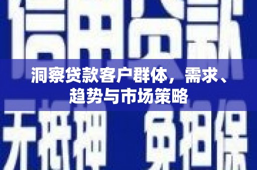 泸水洞察贷款客户群体，需求、趋势与市场策略