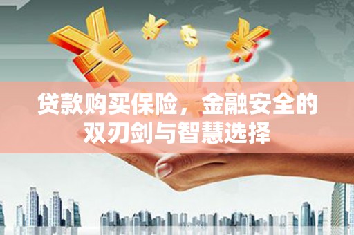泸水贷款购买保险，金融安全的双刃剑与智慧选择