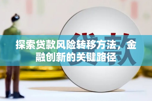 泸水探索贷款风险转移方法，金融创新的关键路径