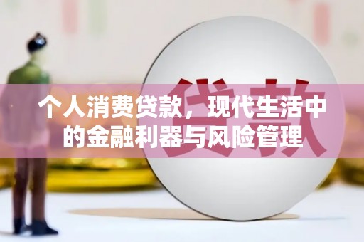 泸水个人消费贷款，现代生活中的金融利器与风险管理