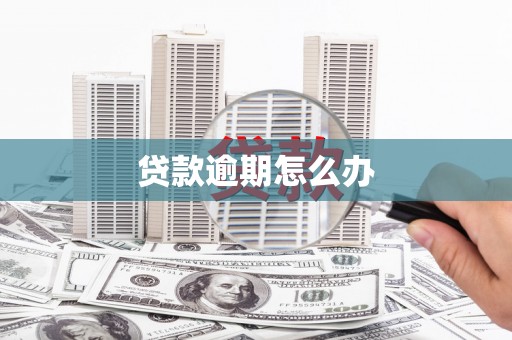 泸水贷款逾期怎么办