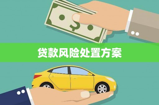 泸水贷款风险处置方案