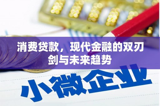 泸水消费贷款，现代金融的双刃剑与未来趋势