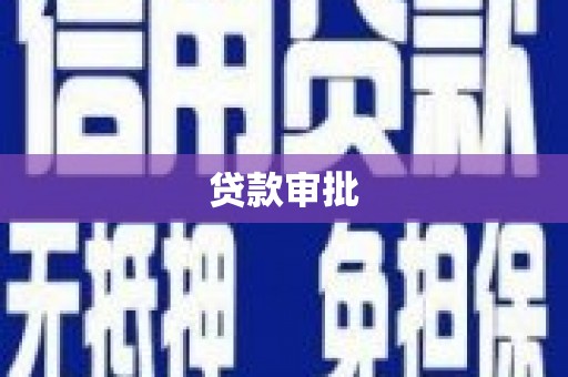 泸水贷款审批