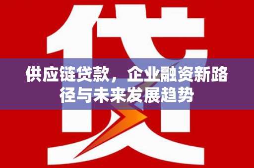 泸水供应链贷款，企业融资新路径与未来发展趋势