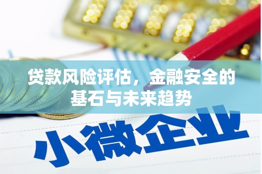 泸水贷款风险评估，金融安全的基石与未来趋势