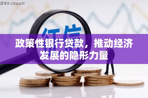 泸水政策性银行贷款，推动经济发展的隐形力量