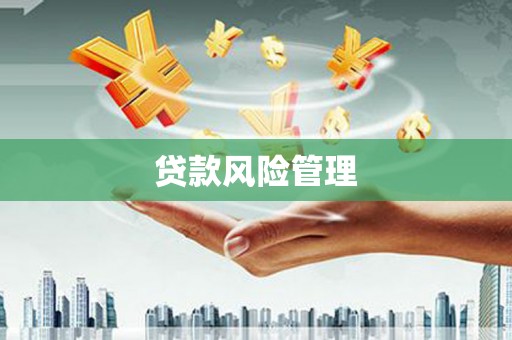 泸水贷款风险管理